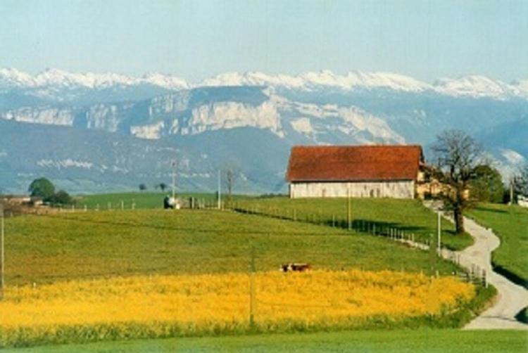 Gite La Grange Du Haut Saint-Antoine  Esterno foto