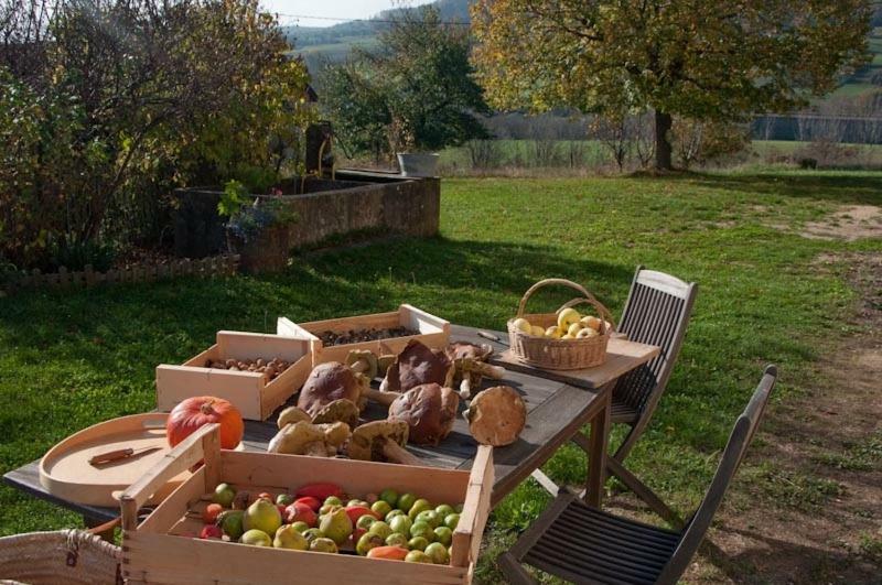 Gite La Grange Du Haut Saint-Antoine  Esterno foto