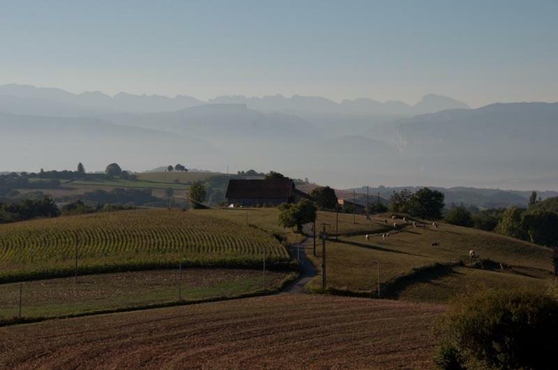 Gite La Grange Du Haut Saint-Antoine  Esterno foto